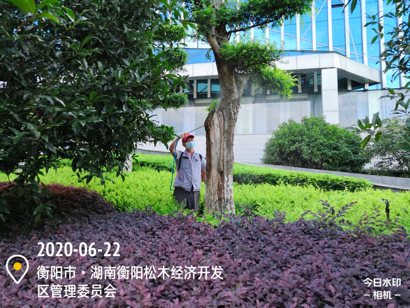 灭白蚁